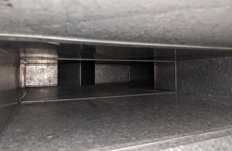 cleaned air duct for allergies