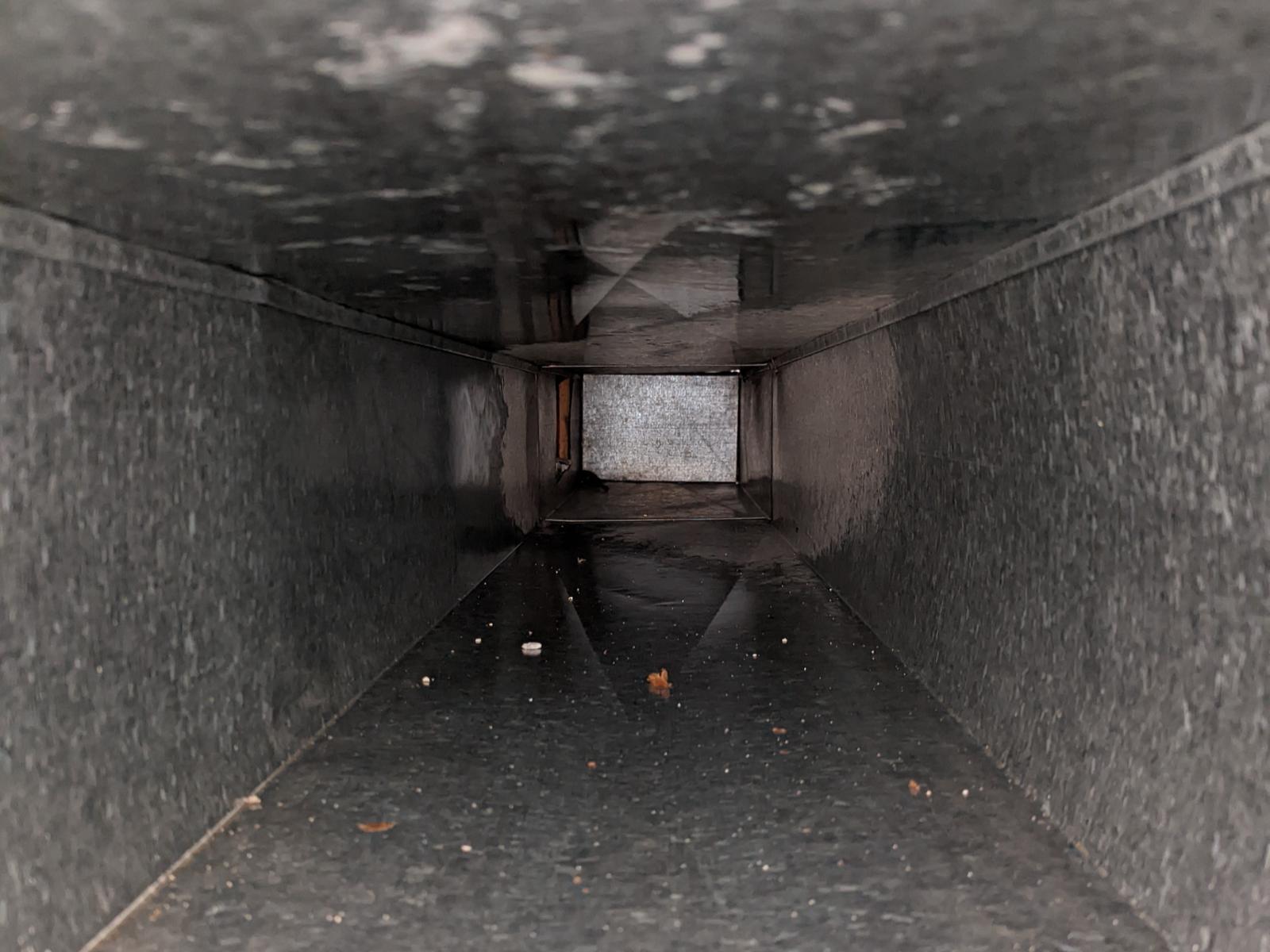 No more phlegmy cough after furnace and air duct cleaning